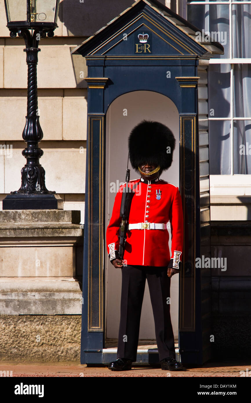 Foot guards on sentry duty at Buckingham palace, London Stock Photo Alamy