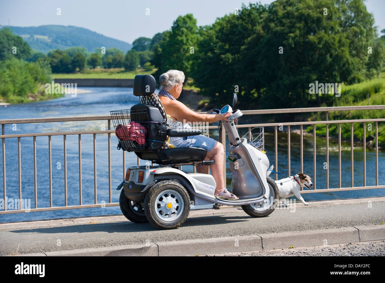 Woman riding mobility scooter walking dog crossing bridge over River