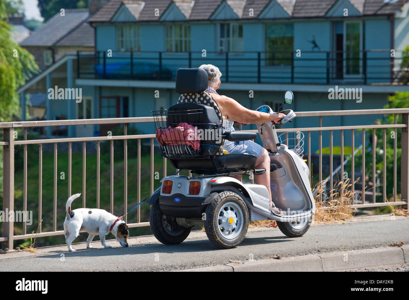 Woman riding mobility scooter walking dog crossing bridge over River