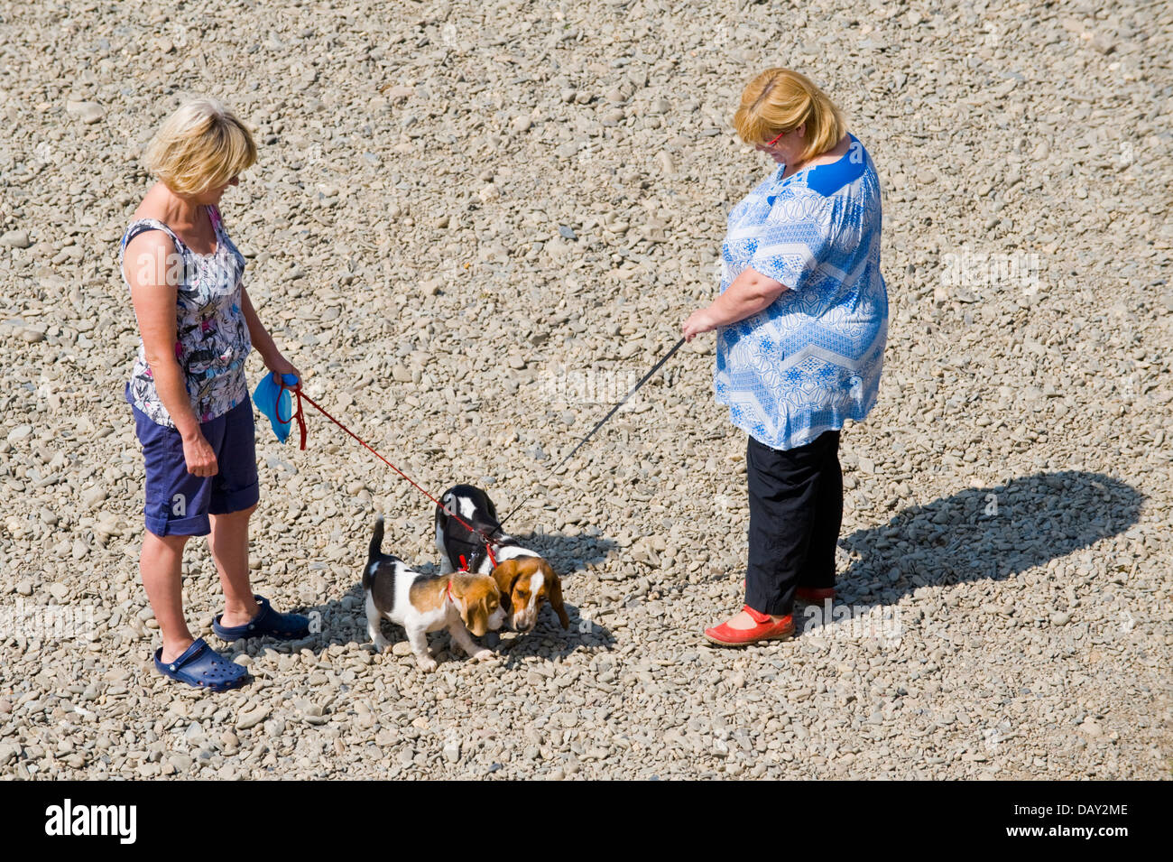 Woman women with dog dogs hi-res stock photography and images - Alamy