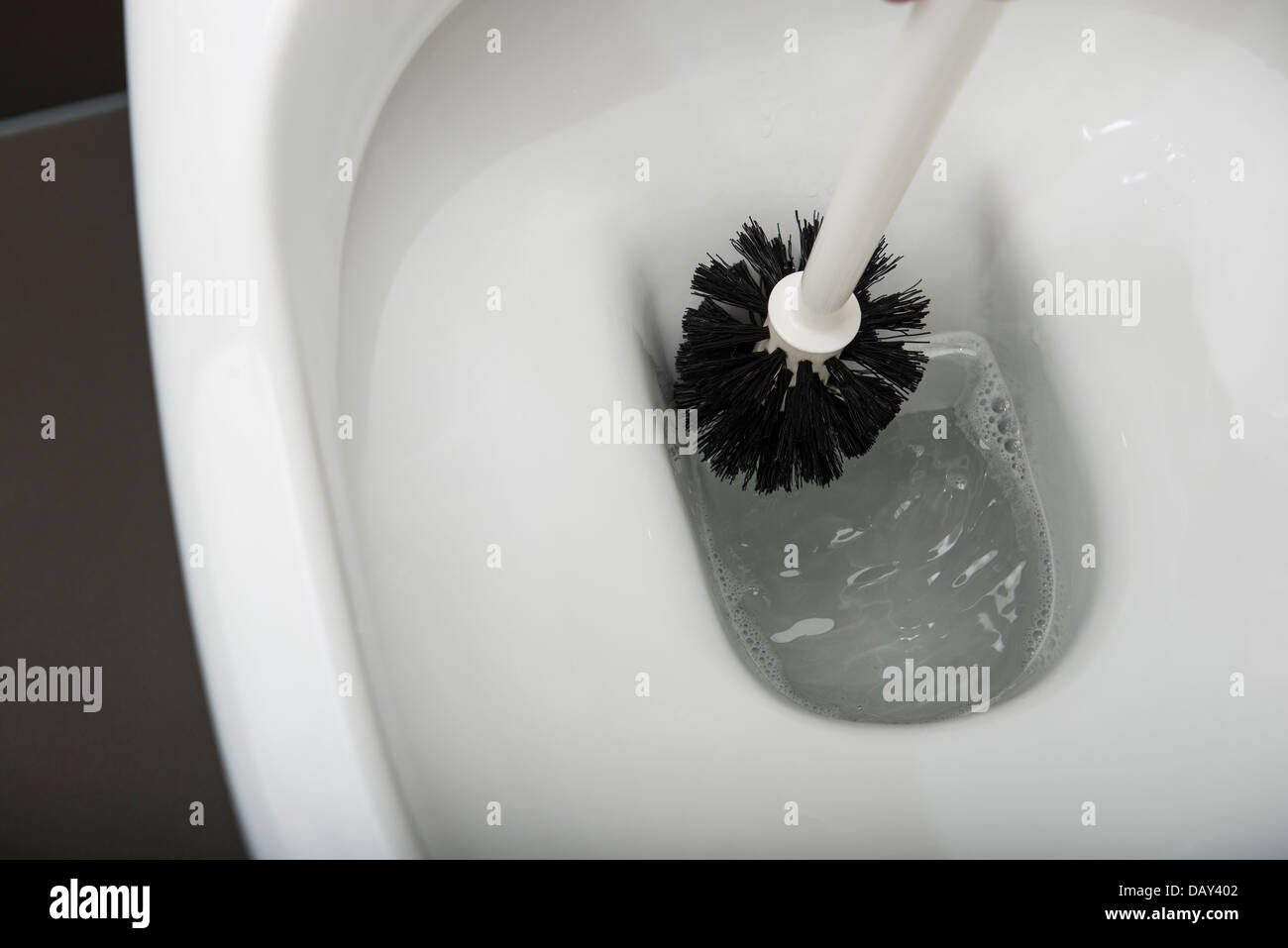 Toilet Brush in a modern white Toilet, Cleaning the Toilet. Stock Photo