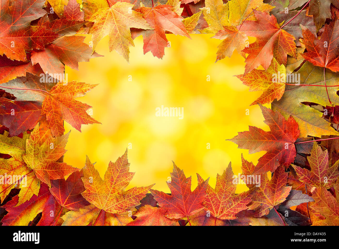 Colorful Autumn Maple Tree Fall Leaves Border with Warm Orange Background with Bokeh Lights Stock Photo