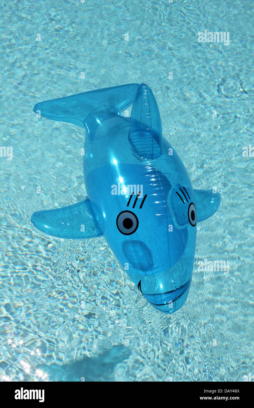 Inflatable dolphin floating in pool Stock Photo Alamy