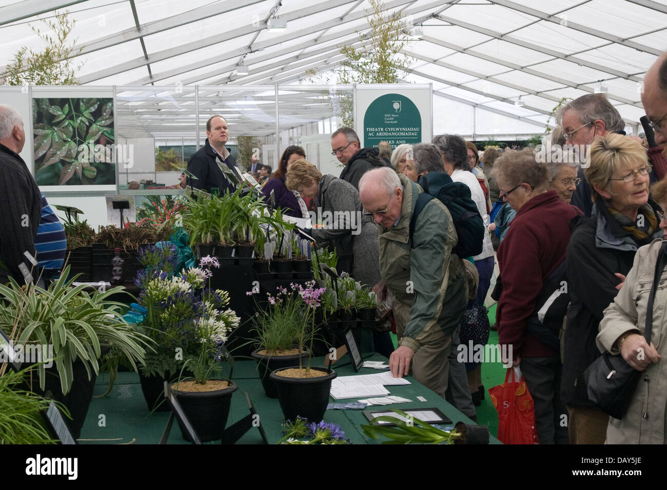 Garden enthusiasts view plants at RHS Cardiff Flower Show Stock Photo