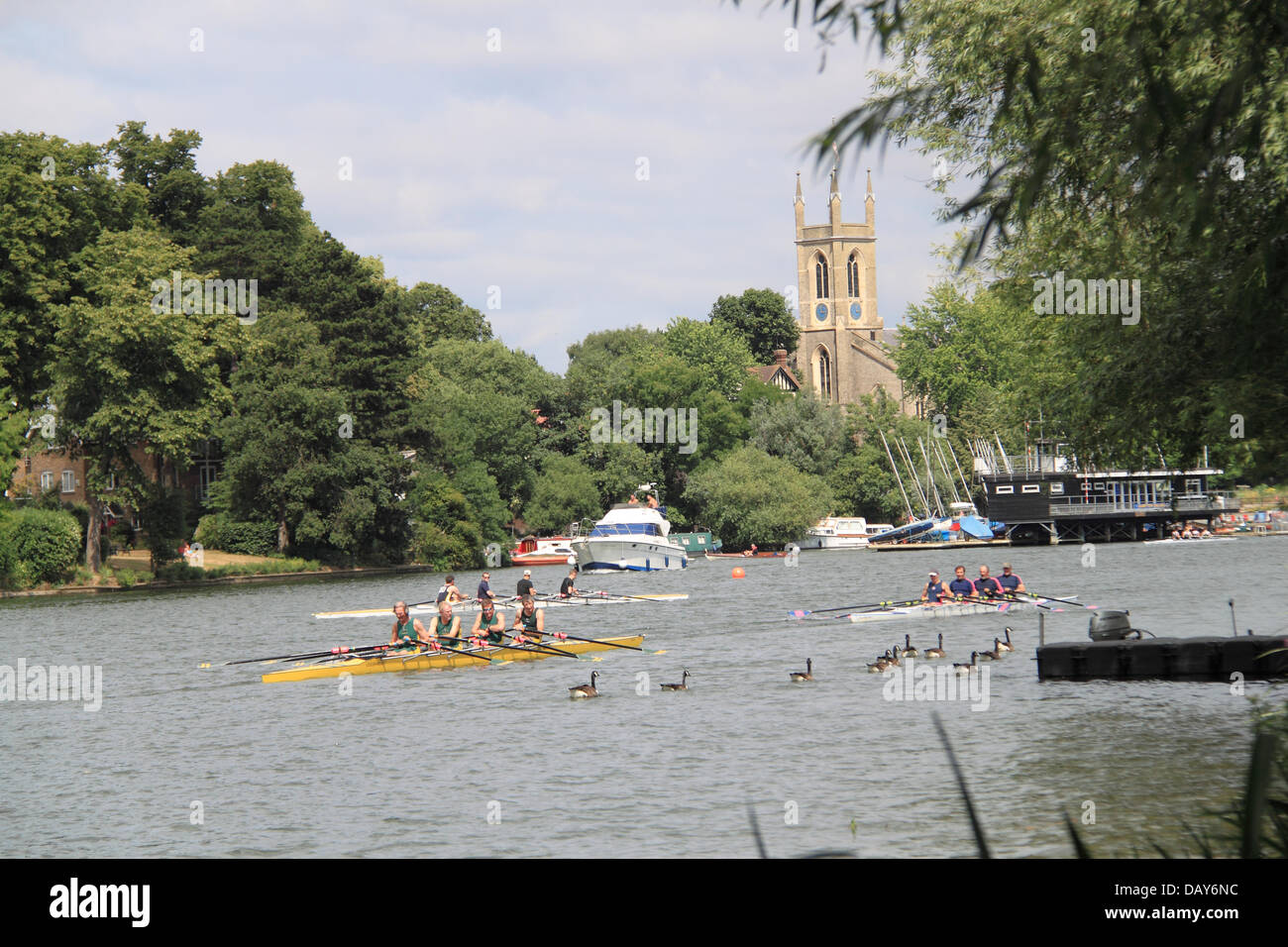 Guildford Rowing Club (green) and Twickenham Rowing Club (blue/magenta) men's quad sculls at Molesey Amateur Regatta, 20th July 2013, River Thames, Hurst Park Riverside, East Molesey, near Hampton Court, Surrey, England, Great Britain, United Kingdom, UK, Europe Credit:  Ian Bottle/Alamy Live News Stock Photo
