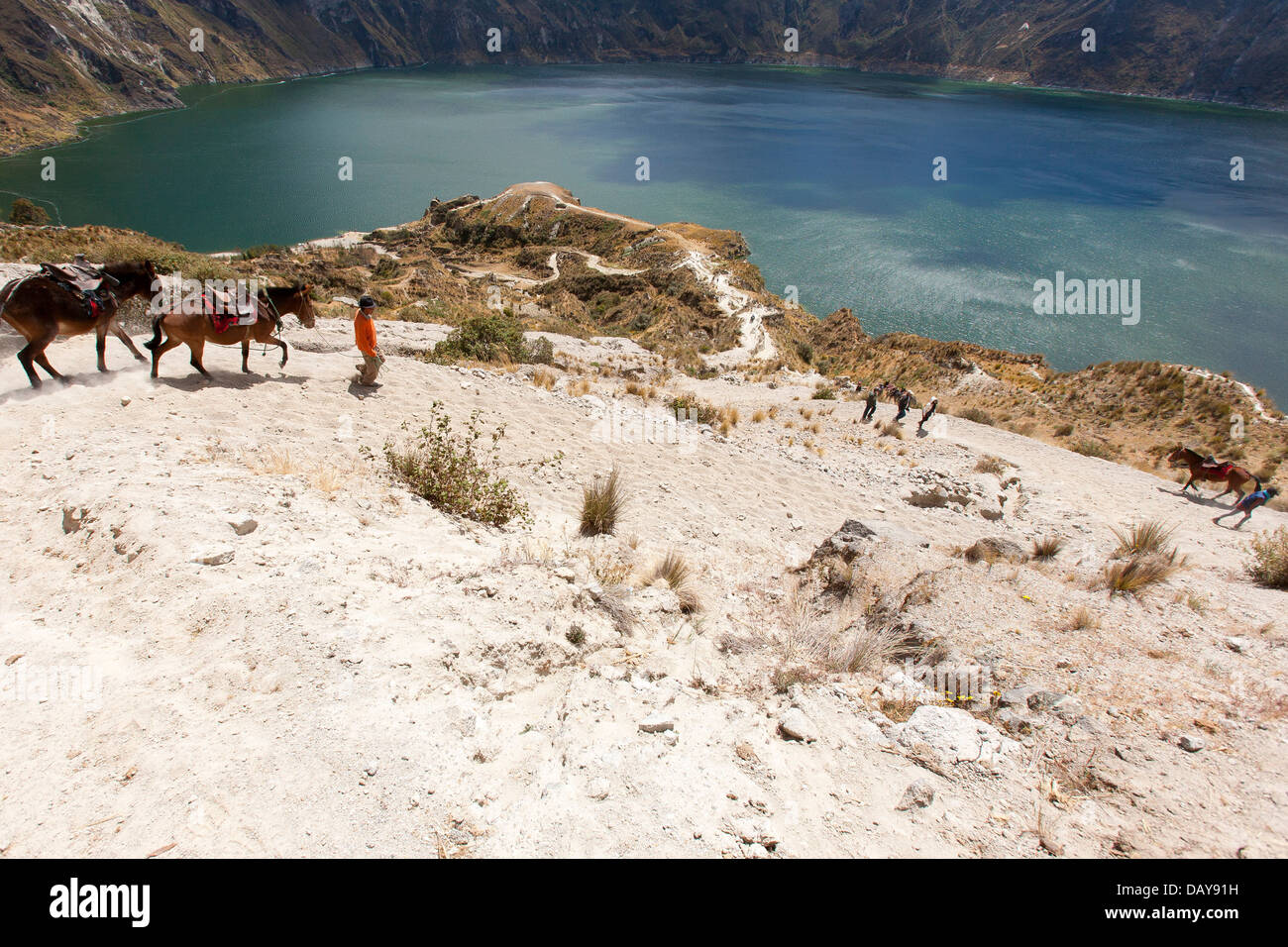 Tourists hike down with horse the crater lake of Quilotoa in the Andean Cotopaxi region of Ecuador. The hike is strenuous. Stock Photo