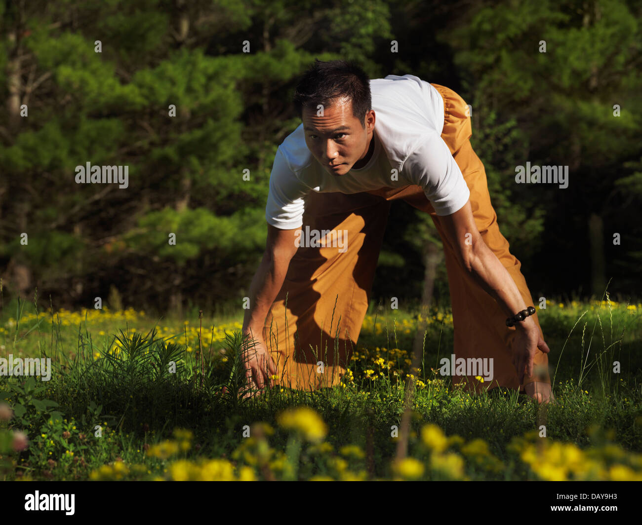 Chi gung hi-res stock photography and images - Alamy