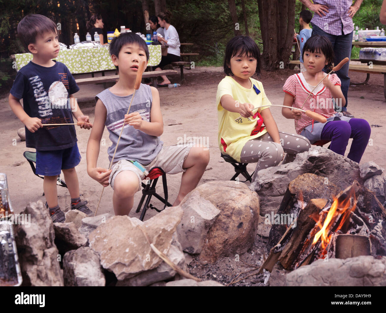 Kids cooking sausages on camp fire at a camping site in a park. Ontario, Canada. Stock Photo