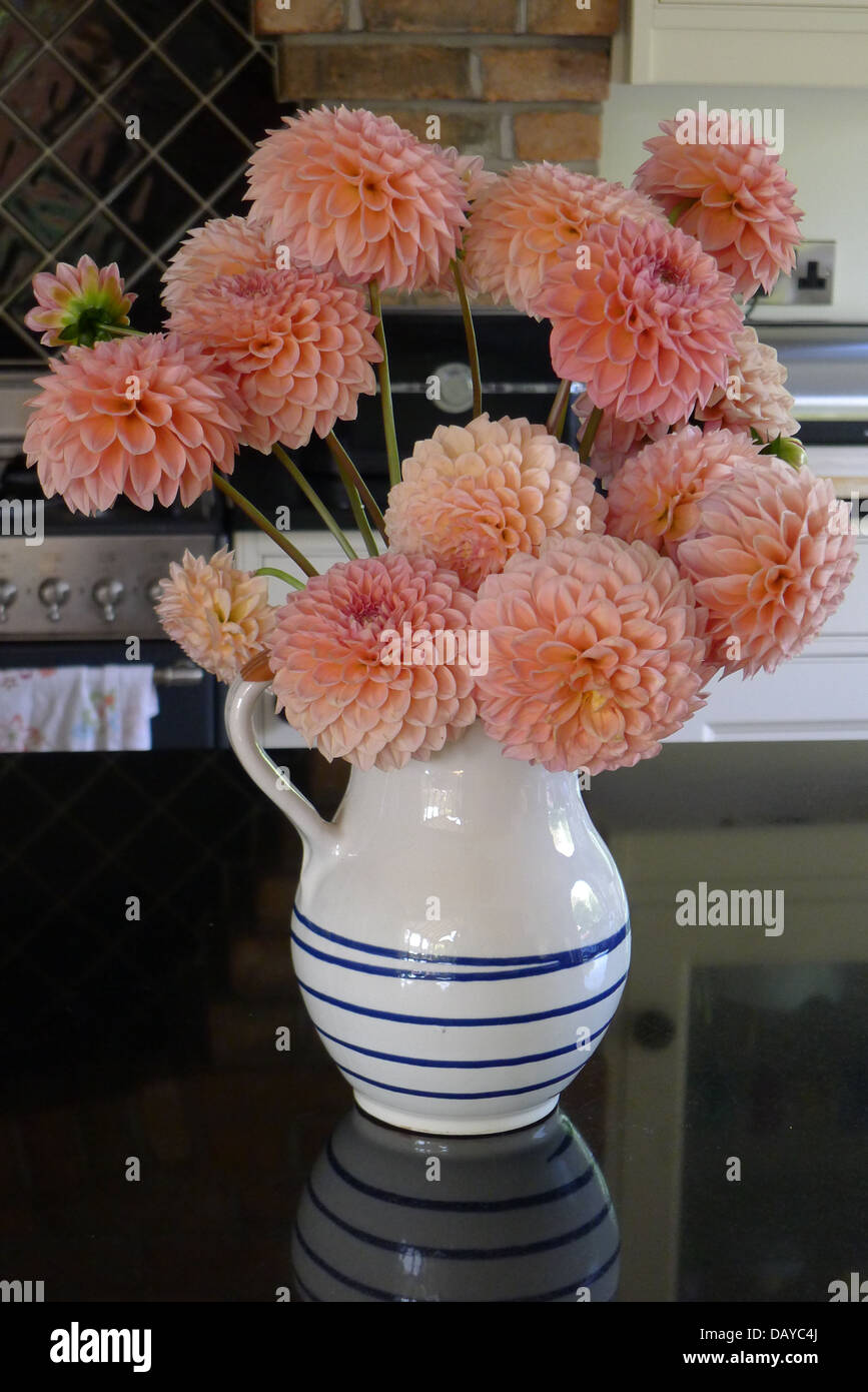 Apricot Pink Dahlias High Resolution Stock Photography and Images - Alamy