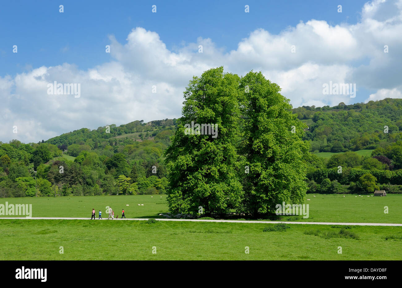 A family walking through the Derbyshire countryside England uk Stock Photo