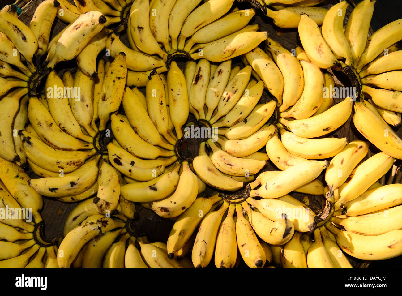 Bananas for Sale at the Market Stock Photo
