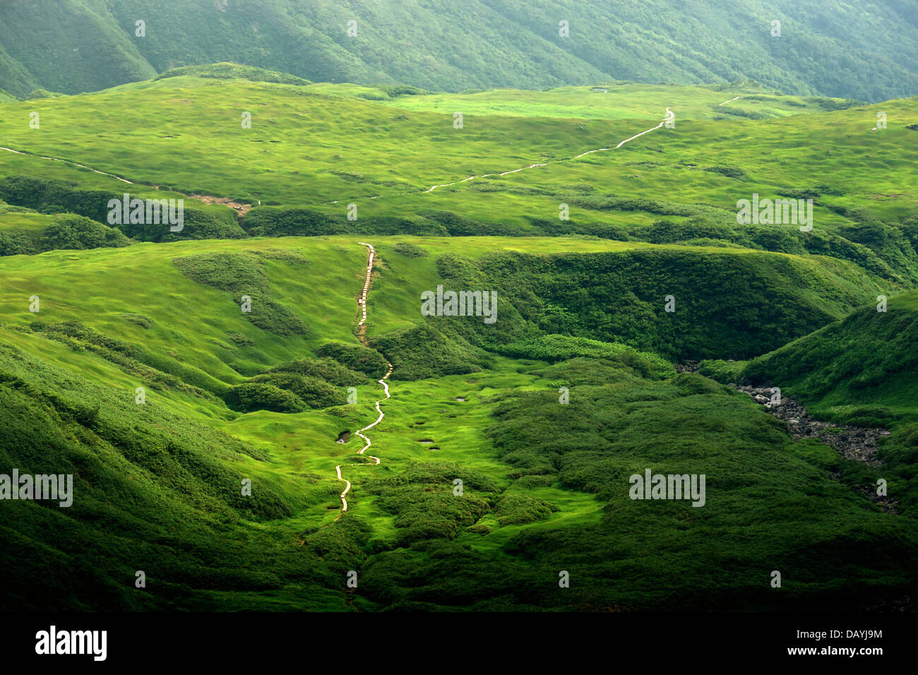 Looking down at the valley and its boardwalk trail from Mount Chokai in Akita Japan Stock Photo