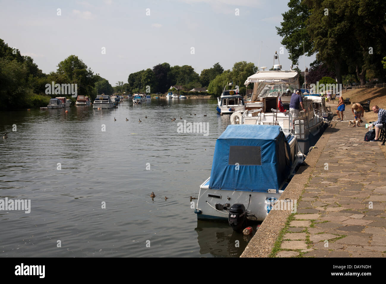View of the river Thames on a hot summers day from the river bank at Sunbury on Thames. Stock Photo