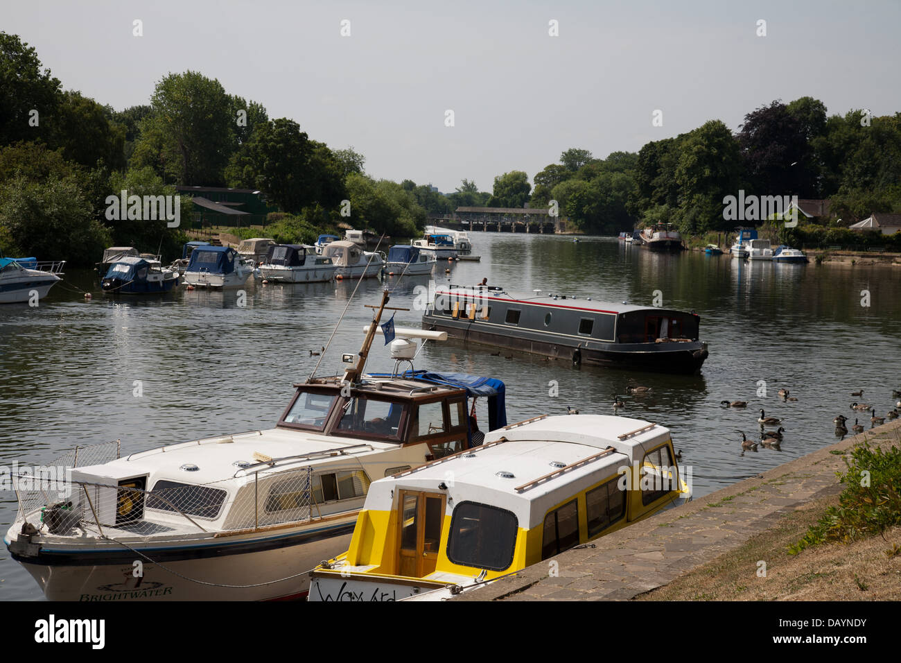 View of the river Thames on a hot summers day from the river bank at Sunbury on Thames. Stock Photo