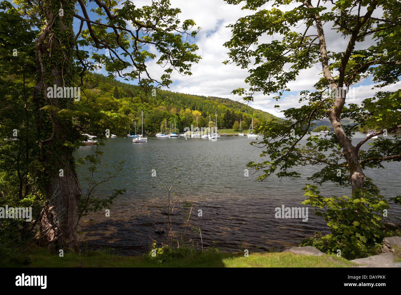 Windermere lake side view on a sunny day, Lakedistrict, Cumbria, England, Europe. Stock Photo