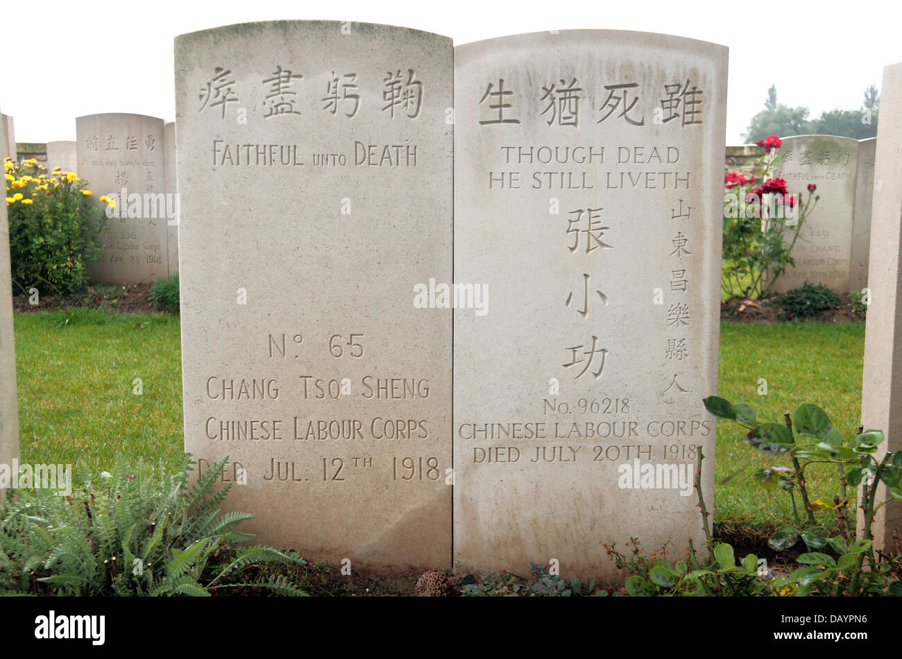 Two headstones for members of the Chinese Labour Corps in the CWGC Noyelles-sur-Mer Chinese Cemetery, Somme, Picardy, France. Stock Photo