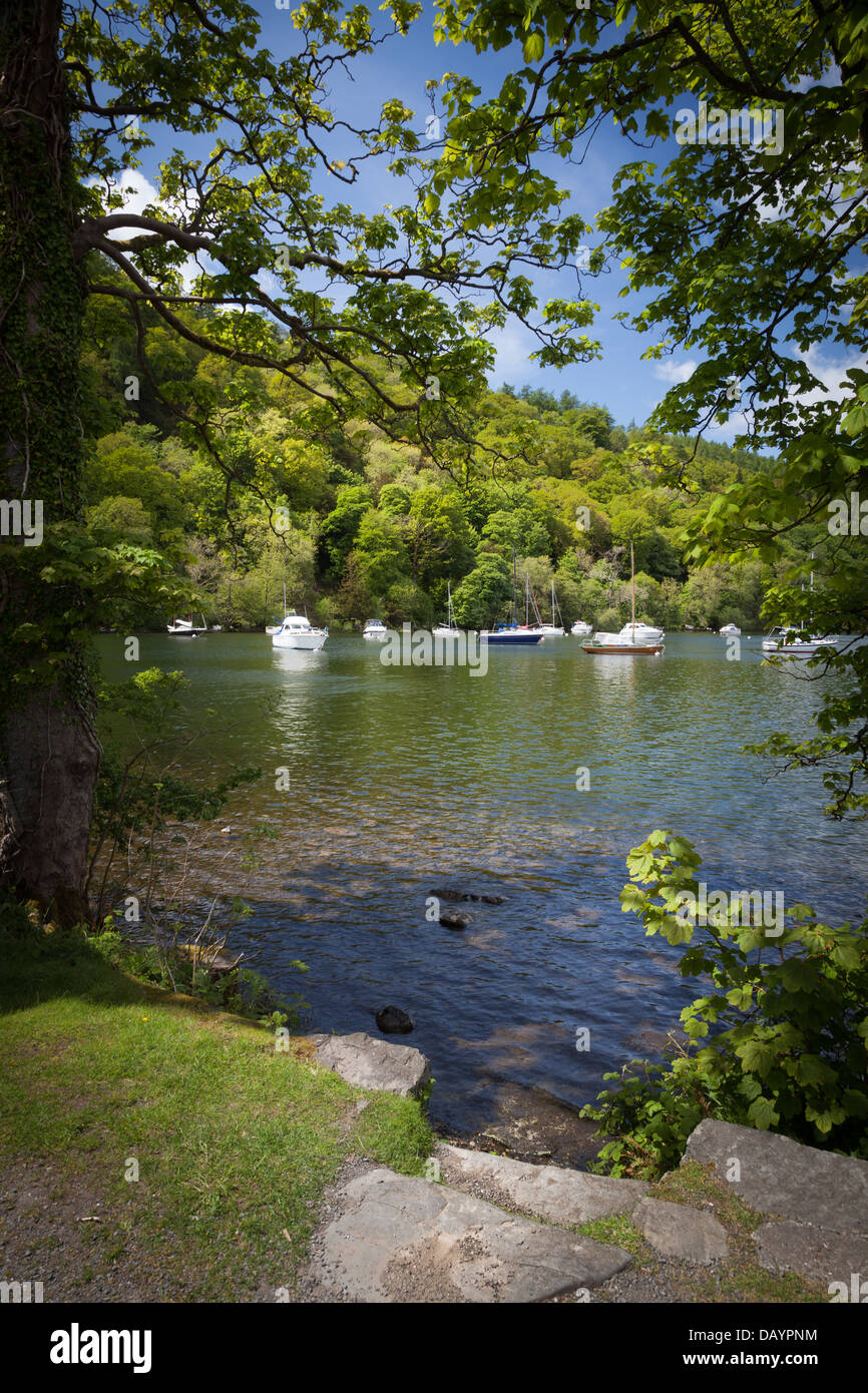 Windermere lake side view on a sunny day, Lakedistrict, Cumbria, England, Europe. Stock Photo