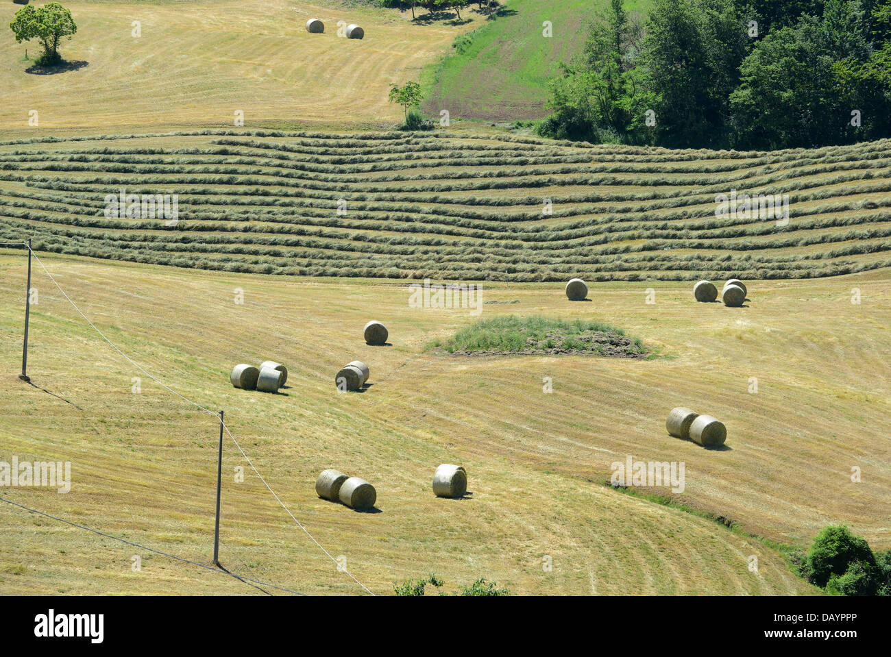 Bales of Hay on farmland Reggio Emilia hills in the Italian region Emilia-Romagna Stock Photo