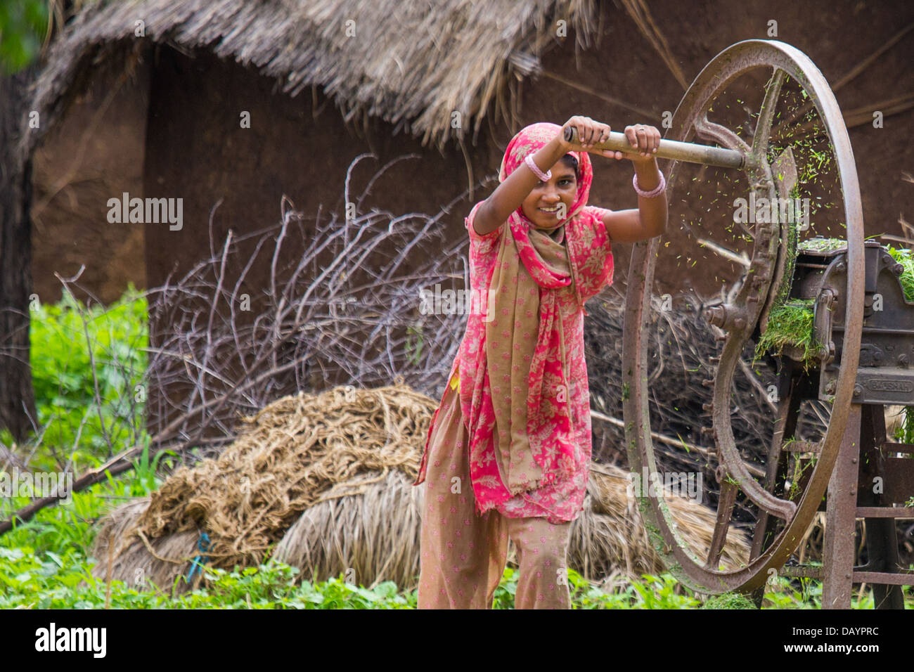 Young woman chopping feed, Uttar Pradesh, India Stock Photo