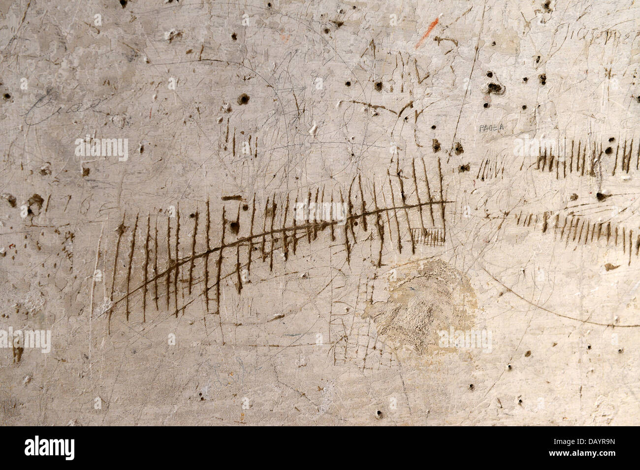 Graffiti and markings made by 18th century prisoners in the dungeon at Dozza Castle in Italy Stock Photo