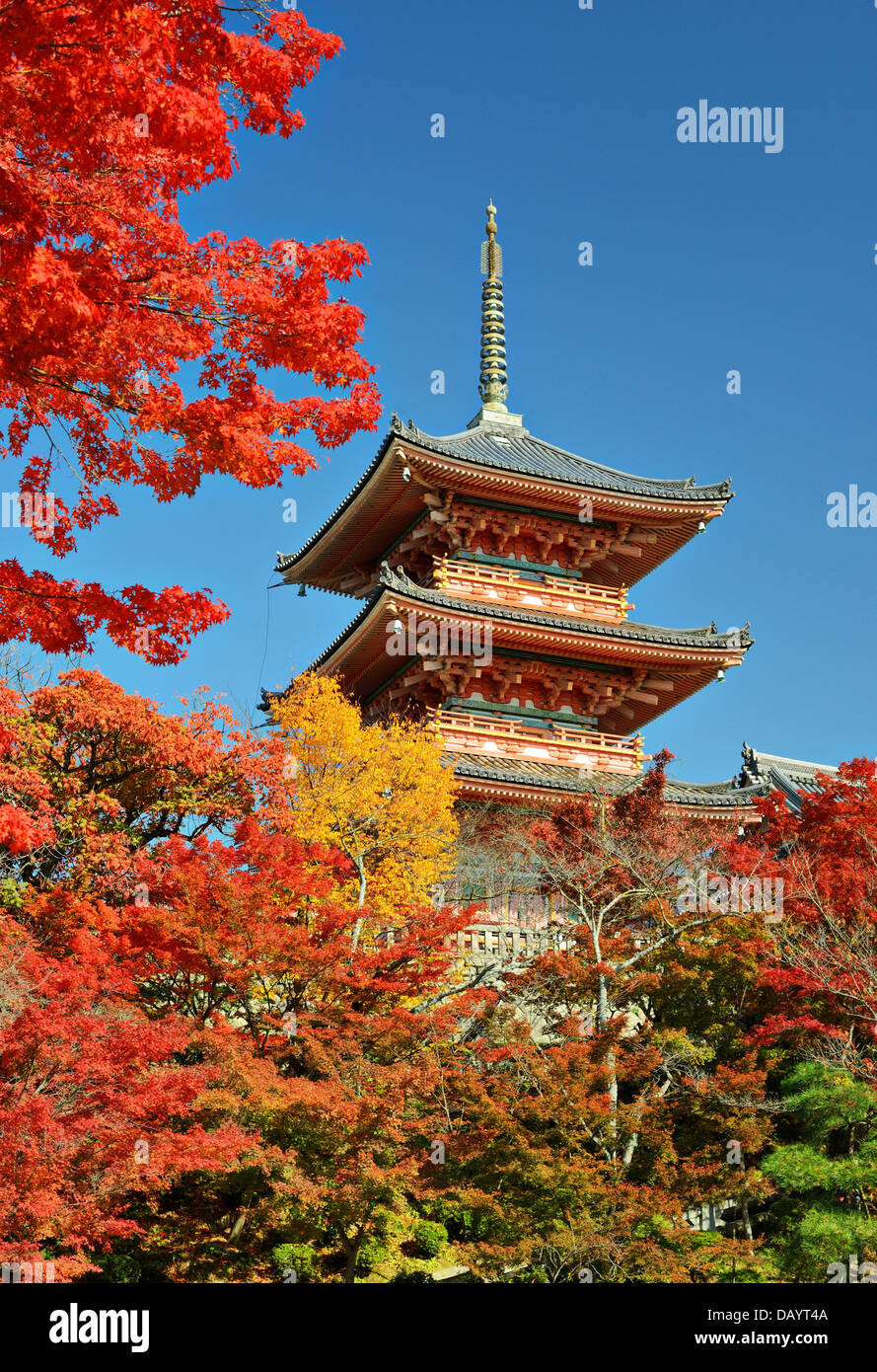Kiyomizu-dera pagoda with fall colors in Kyoto, Japan. Stock Photo