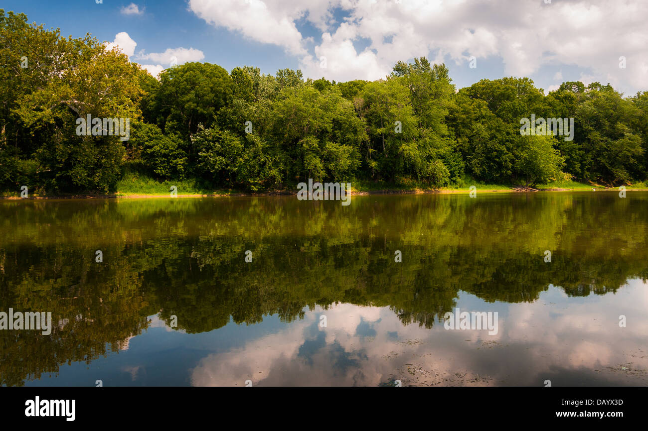 Reflection of trees and clouds in the Potomac River, at Balls Bluff