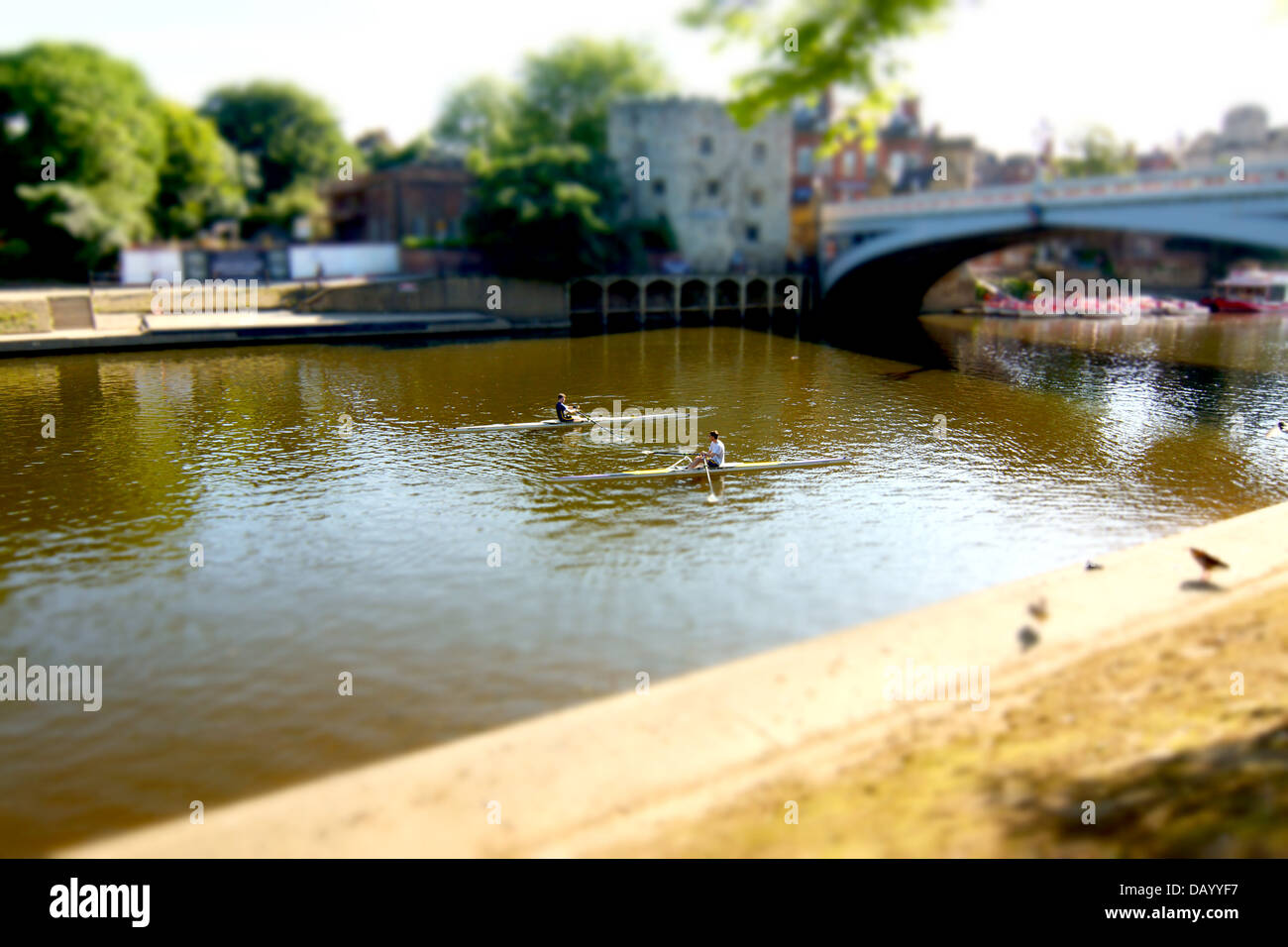 Rowers from the York rowing club practicing on the River Ouse (Tilt