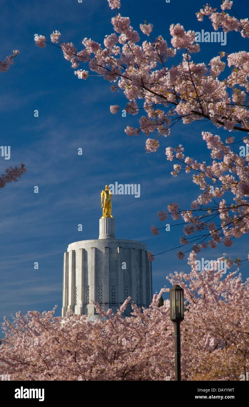 State capitol with cherry trees in bloom, State Capitol State Park, Salem, Oregon Stock Photo