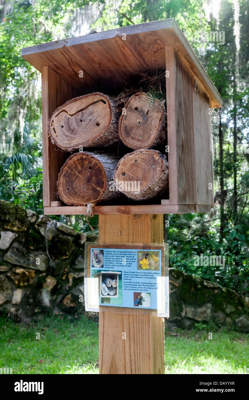 Bee box constructed to encourage nesting by Carpenter bees (Xylocopa Xylocopinae) in Paynes Prairie Preserve State Park. Stock Photo