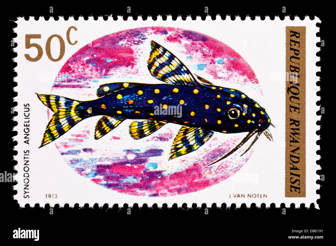Postage stamp from Rwanda depicting Synodontis Angelicus Catfish (Synodontis angelicus) Stock Photo