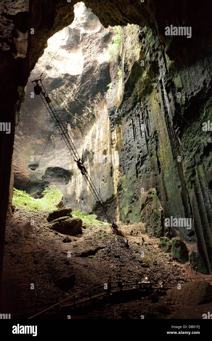 Gomantong malaysia hires stock photography and images Alamy