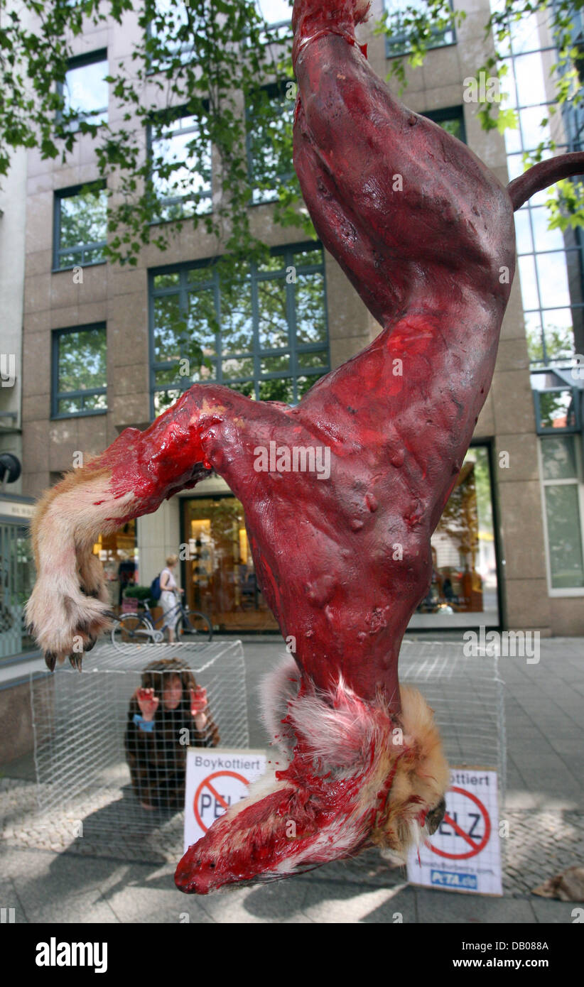 PETA (People for Ethical Treatment of Animals) activists with red smudgy hands pose inside cages behind a hanging red animal corpse sculpture during a protest action against fur fashion in front of the Burberry store in Berlin, 17 July 2007. According to a PETA statement Burberry is one of the last big international fashion companies using animal furs. Photo: Stephanie Pilick Stock Photo