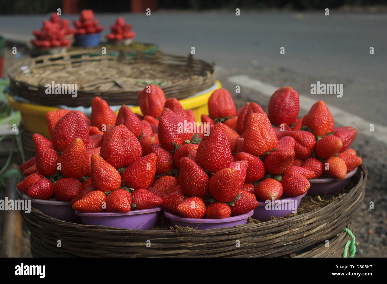 Mahabaleshwar hires stock photography and images Alamy