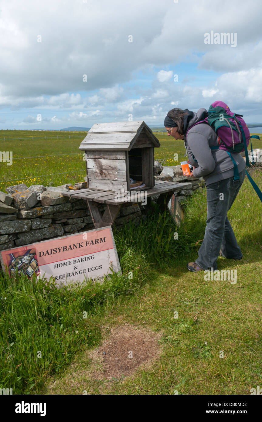 A walker buying eggs from a stall of farm produce for sale beside a footpath with an honesty box for payment. Stock Photo