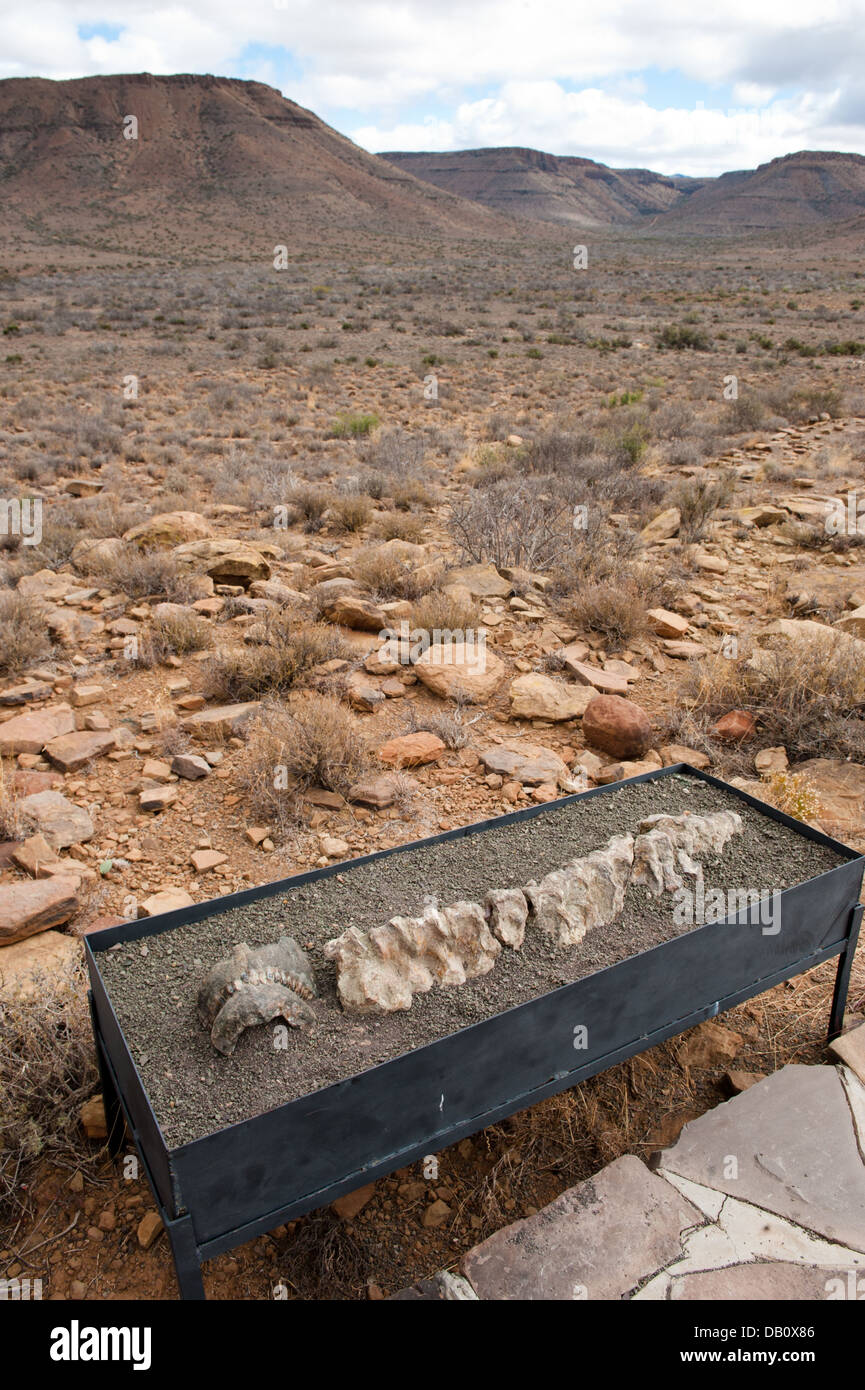 Display on the Fossil Trail, Karroo National Park, Beaufort West, South Africa Stock Photo