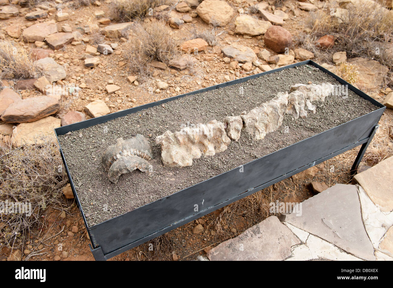 Display on the Fossil Trail, Karroo National Park, Beaufort West, South Africa Stock Photo