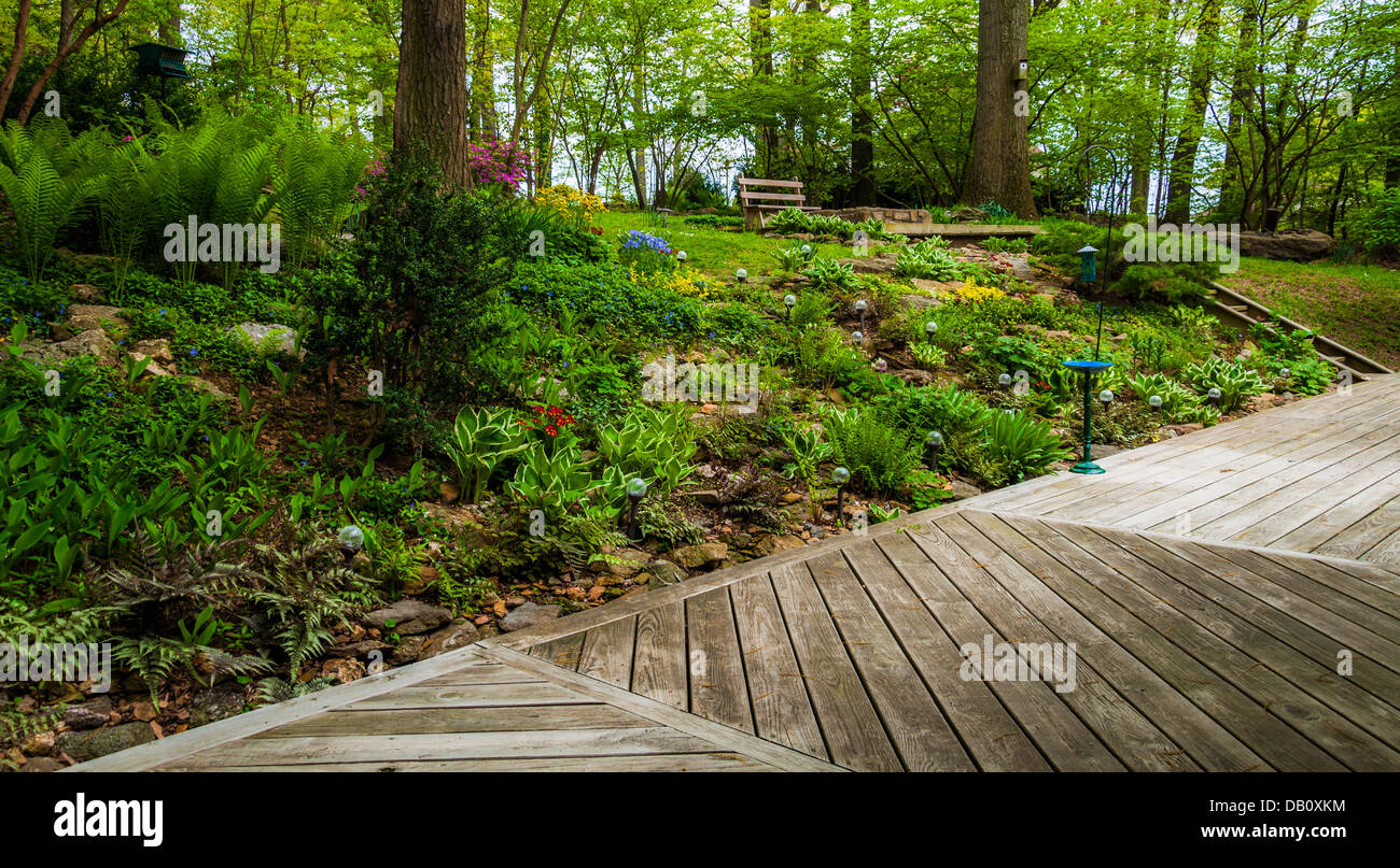 Deck and colorful woodland garden with tall ferns and colorful flowers ...