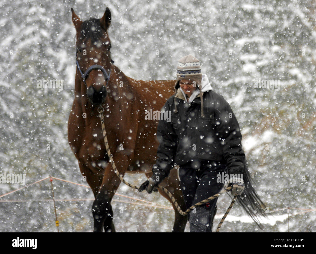 A woman and her horse walk over a meadow at heavy snowfall and temperatures of 0 degrees Celcius in Berchtesgaden, Germany, 21 October 2007. Photo: Wolfgang Kumm Stock Photo