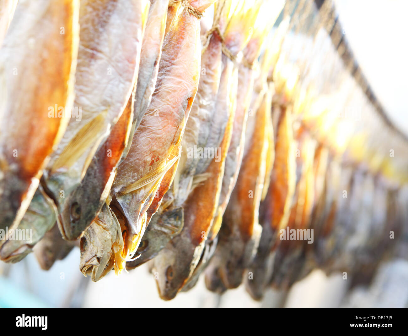 dry salt fish Stock Photo Alamy