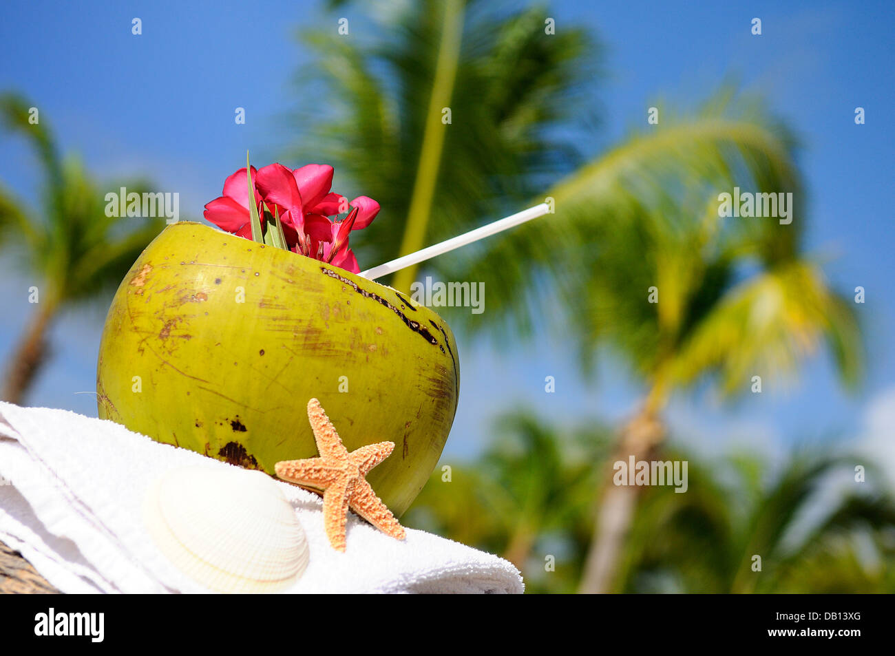 coconuts on the beach Stock Photo Alamy