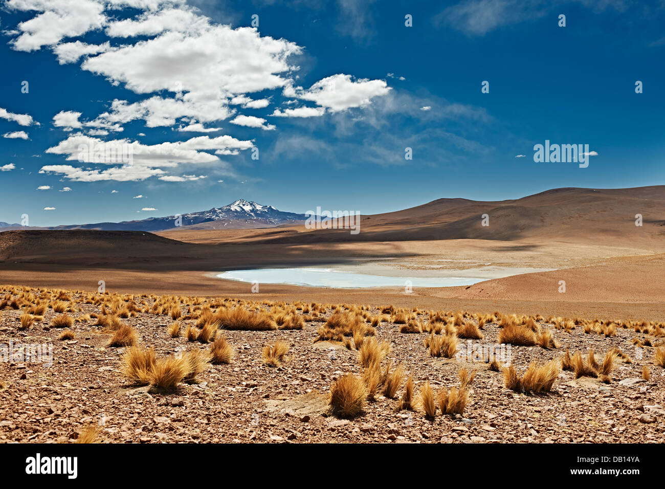 Reserva Nacional de Fauna Andina Eduardo Abaroa, Bolivia, South America Stock Photo