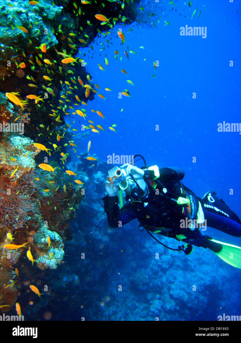 A diver takes pictures at the 137metresdeep 'Blue Hole' in the Red