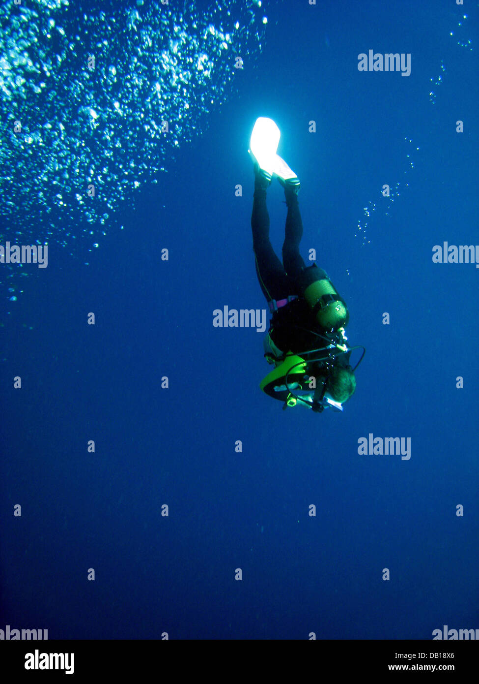 A diver is pictured at the 137metresdeep 'Blue Hole' in the Red Sea