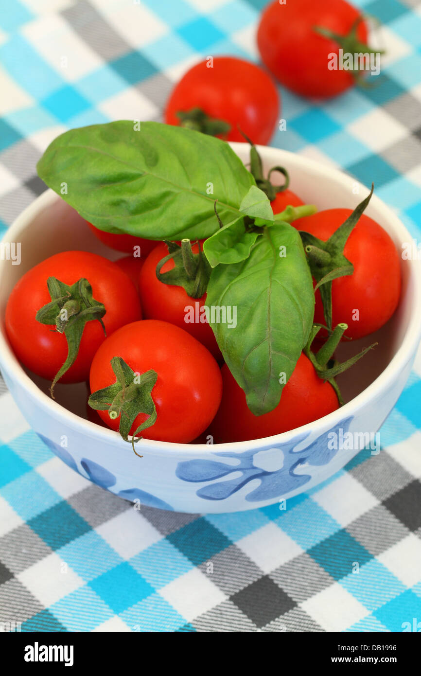 Cherry tomatoes with fresh basil on checkered surface Stock Photo Alamy