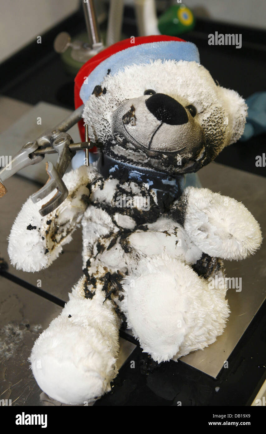 A partly burned and singed teddy bear pictured in Mainz, Germany, 21 November 2007. The teddy bear was treated in a conflagrative experiment conducted by the State Office for Environment, Water Management and Commercial Inspectorate. Photo: Frank May Stock Photo