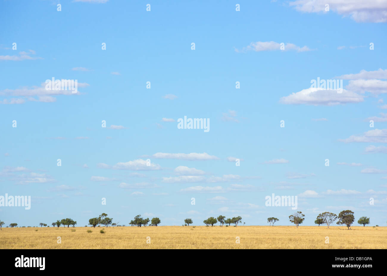 Dry grasslands and a blue sky with clouds in a remote part of outback Queensland, Australia Stock Photo