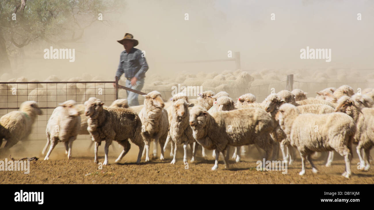 Sheep Station Australia Stock Photos & Sheep Station Australia Stock