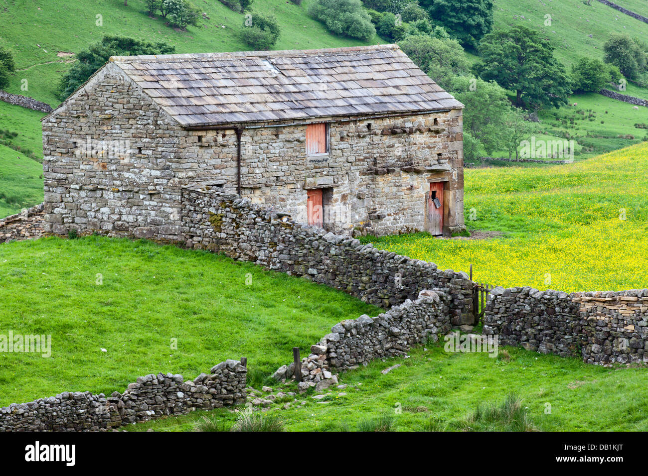 Barn with Red Doors near Angram in Swaledale Yorkshire Dales England