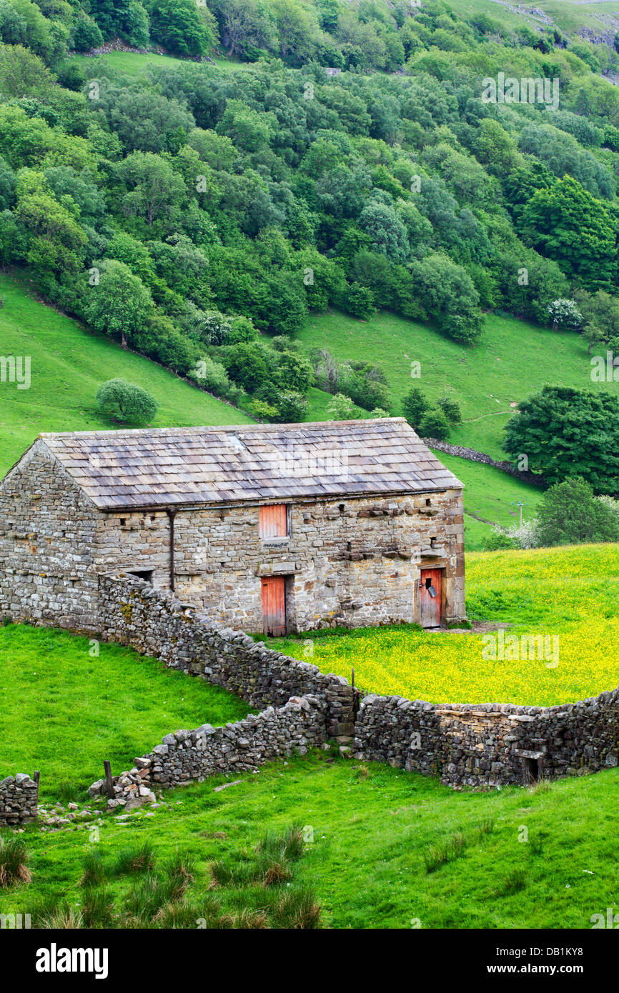 Barn with Red Doors near Angram in Swaledale Yorkshire Dales England