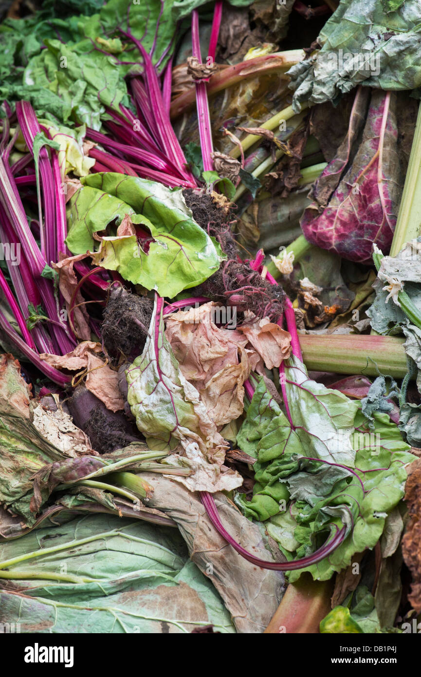 Vegetable plant waste. Garden waste on the compost heap Stock Photo Alamy